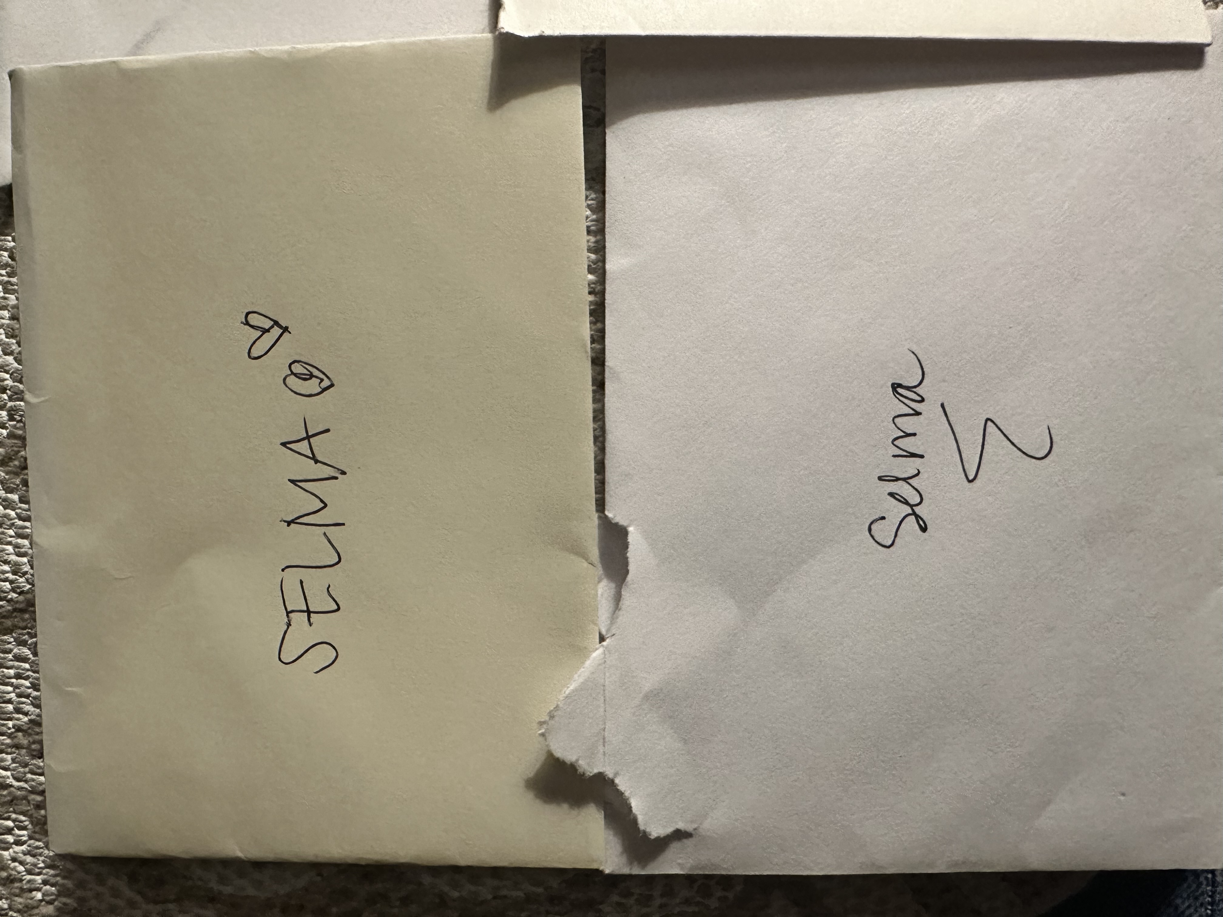 Enveloppes de lettres adressées à Selma