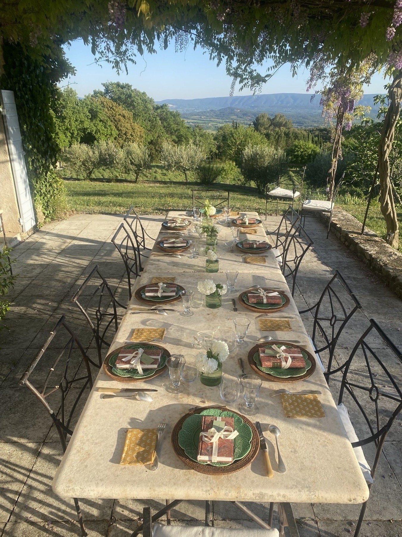 Table dressée en terrasse provençale avec vue panoramique sur les Alpilles