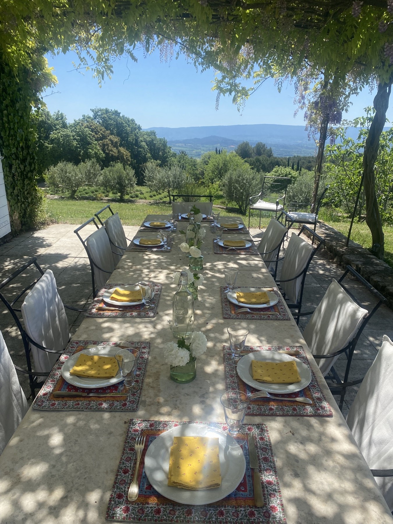 Grande table dressée sous une pergola face aux collines provençales — Selma & Co